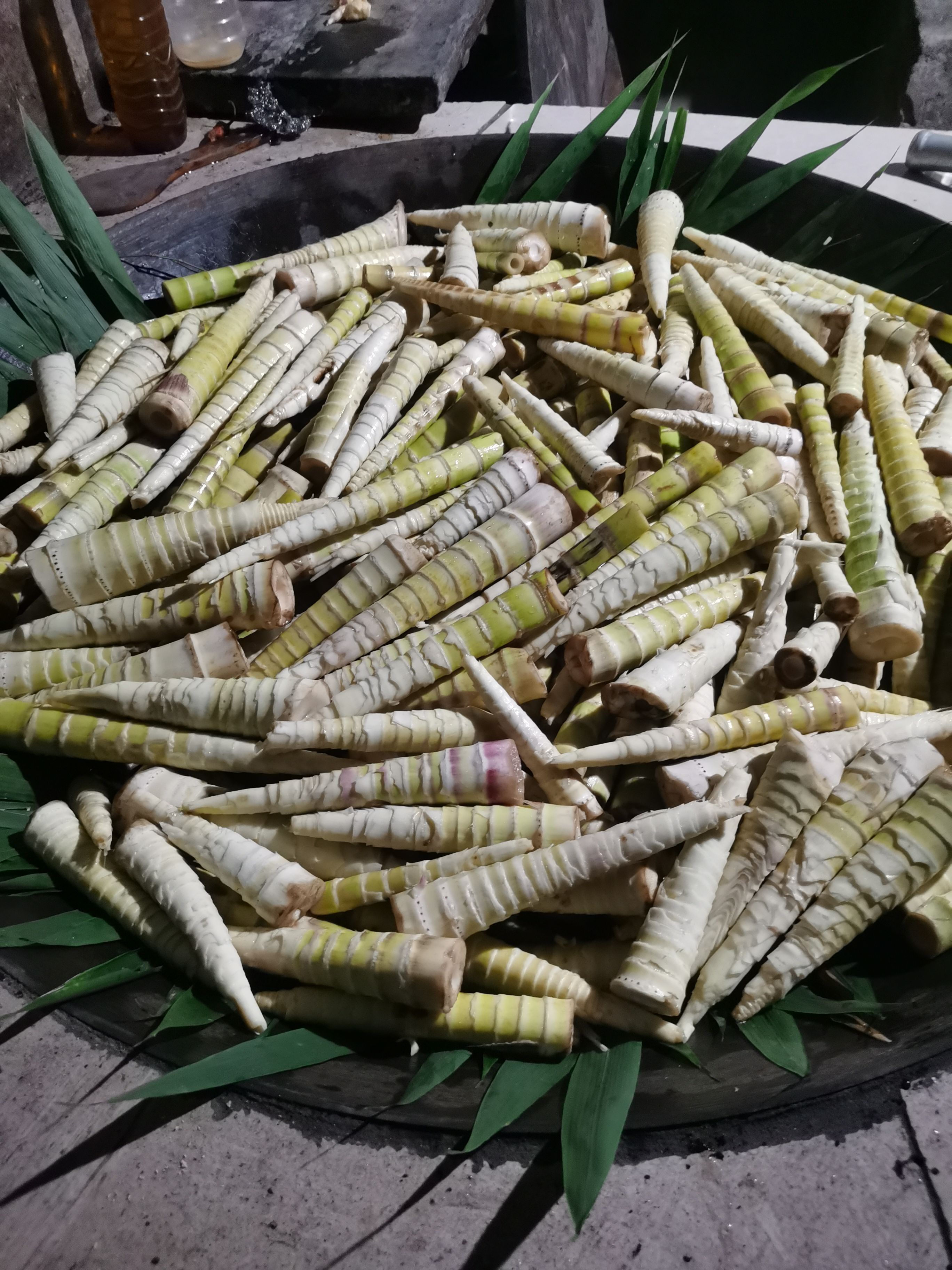 刺竹笋 野生竹笋，天然食品，不添加任何防腐剂，新鲜味美。