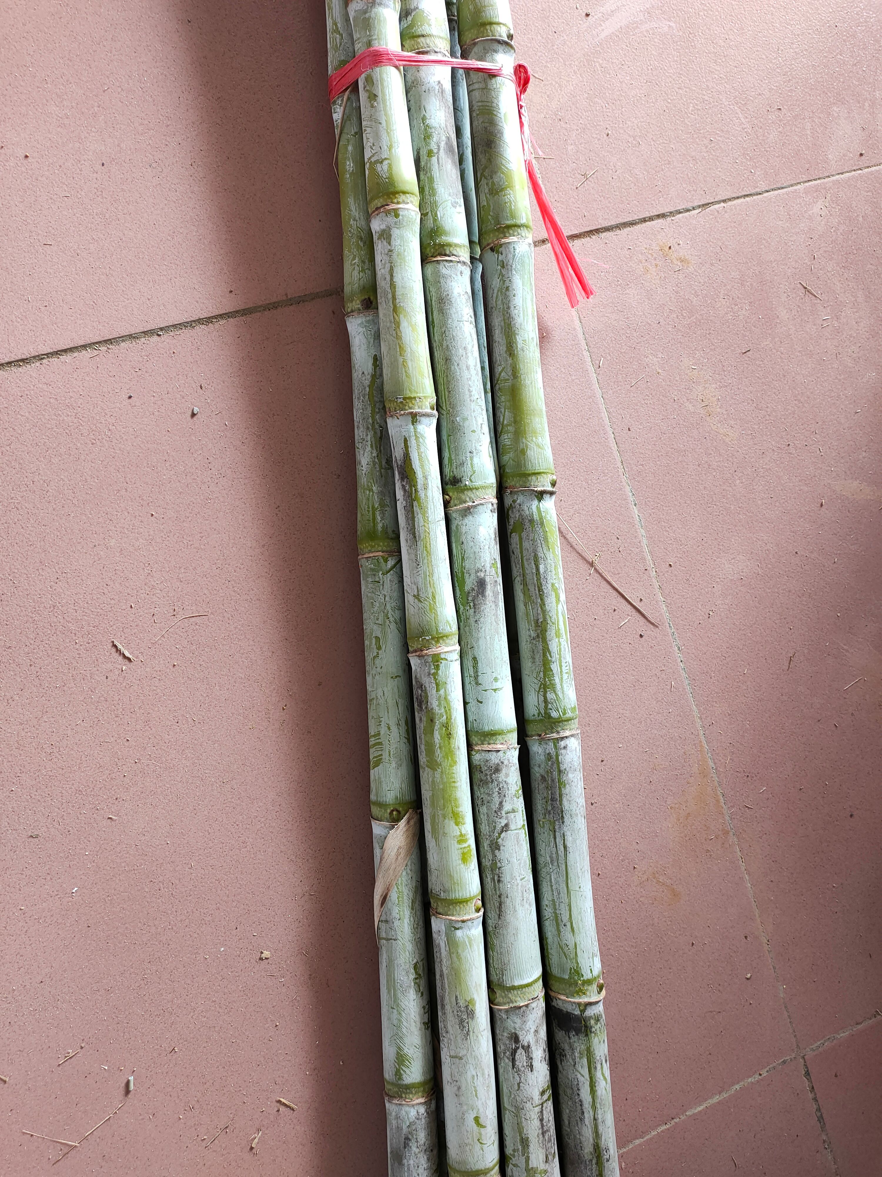 甘蔗干竹蔗干宠物磨牙棒