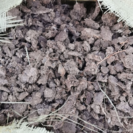 许昌 纯干鸡粪