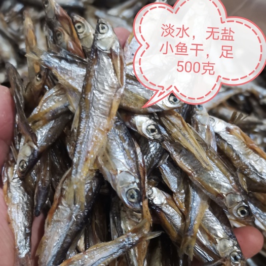 浏阳市 猫零食小鱼,狗狗零食鱼,饲养龟干粮,刁子鱼干，淡水无盐晒干