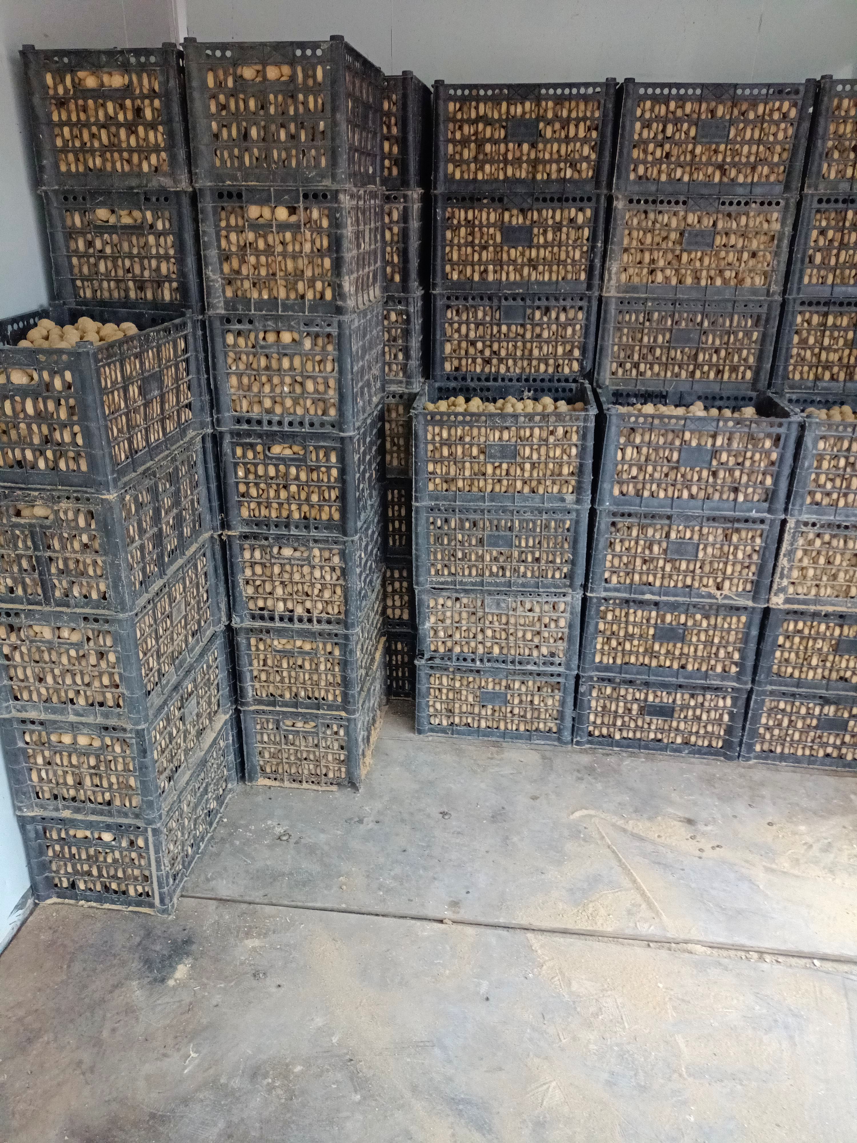 无铅皮蛋  变蛋