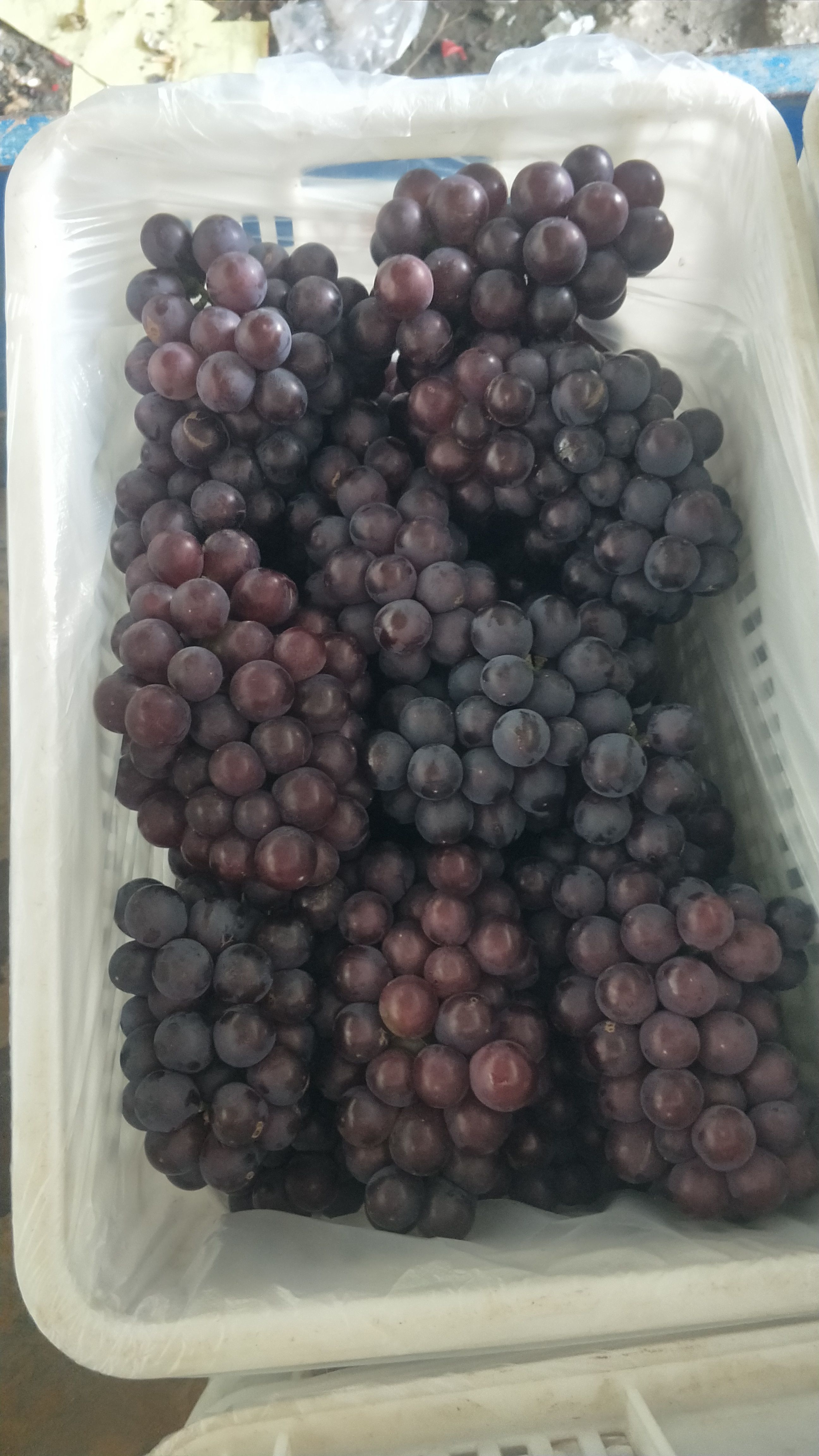 河北秦皇岛大粒软枝巨峰葡萄及冷库储存葡萄