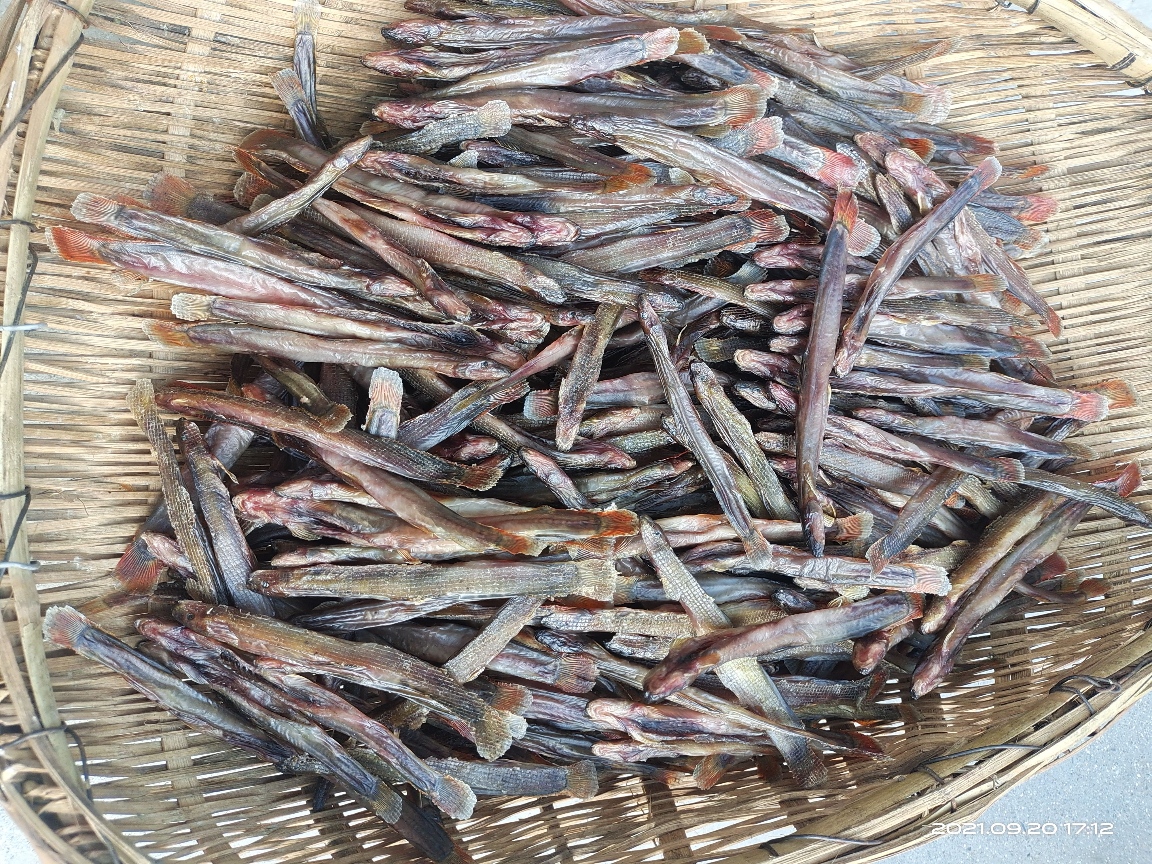 钢鳅干  红尾副鳅肉质细嫩鲜美，高蛋白含钙磷铁B1B2等维生