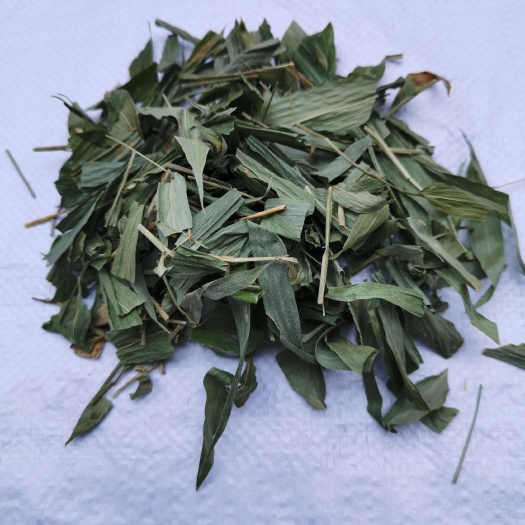  淡竹叶深山高山淡淡香味湖南