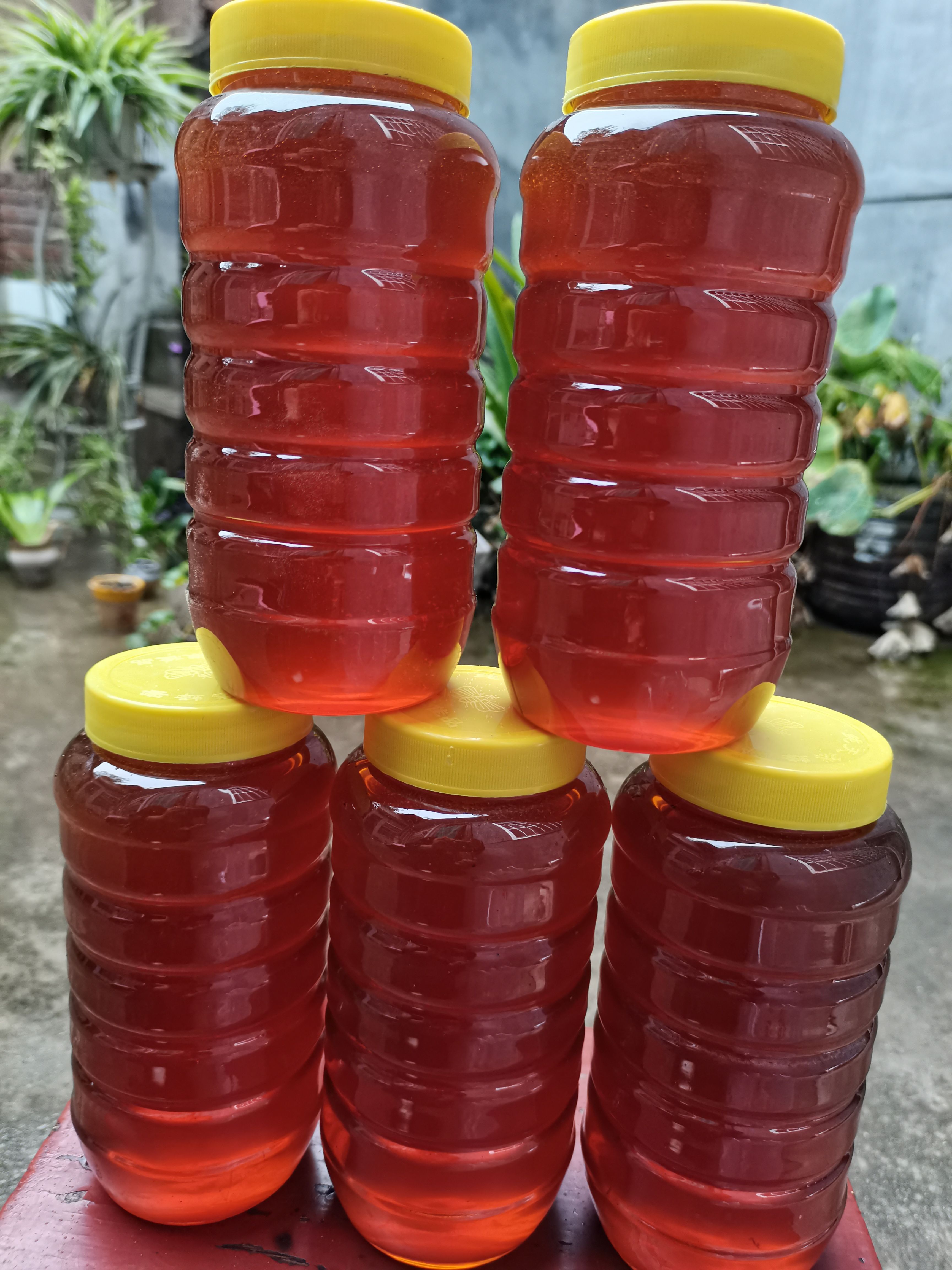 枣花蜜 2斤装 ，假一赔百