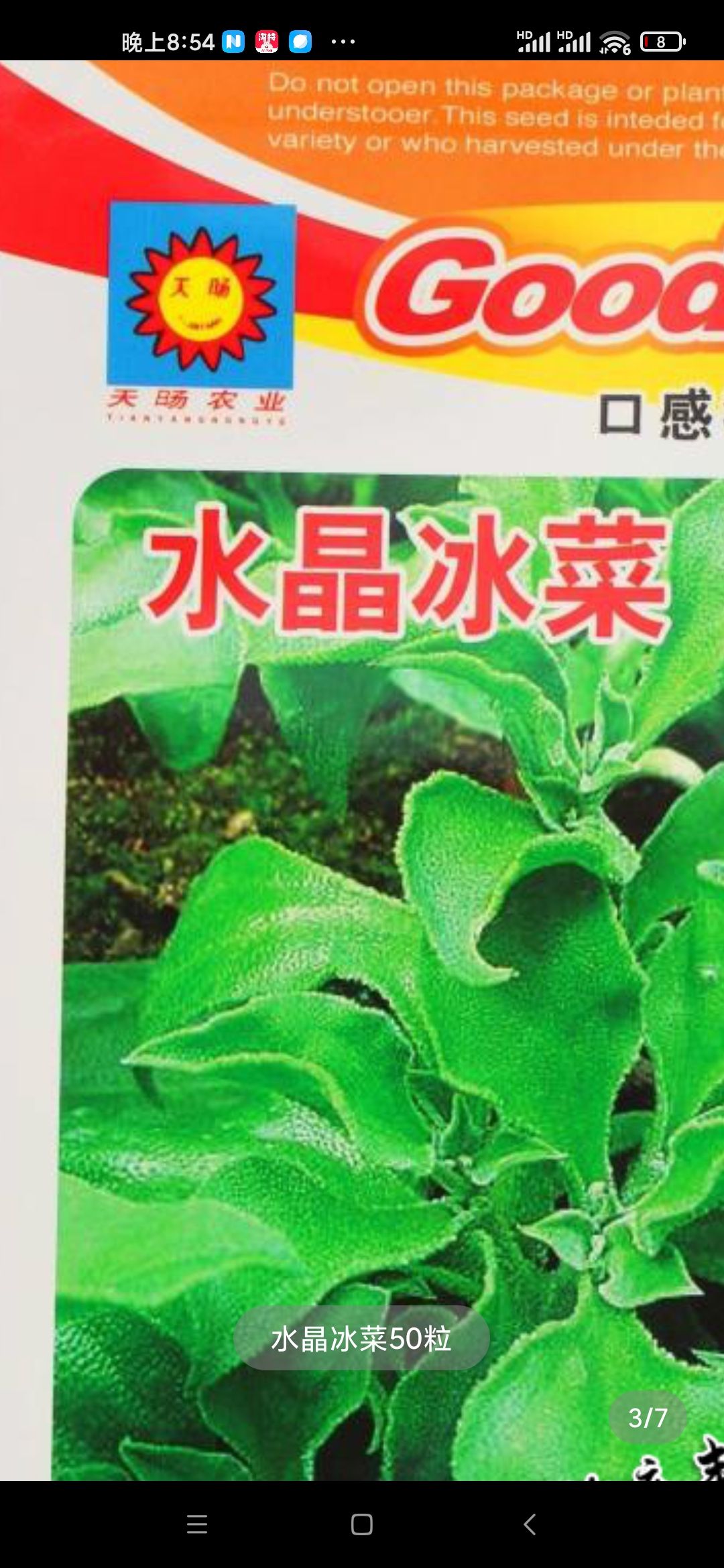 养生冰菜种子，非洲冰草种子200粒，富含氨基酸、抗酸化物质等