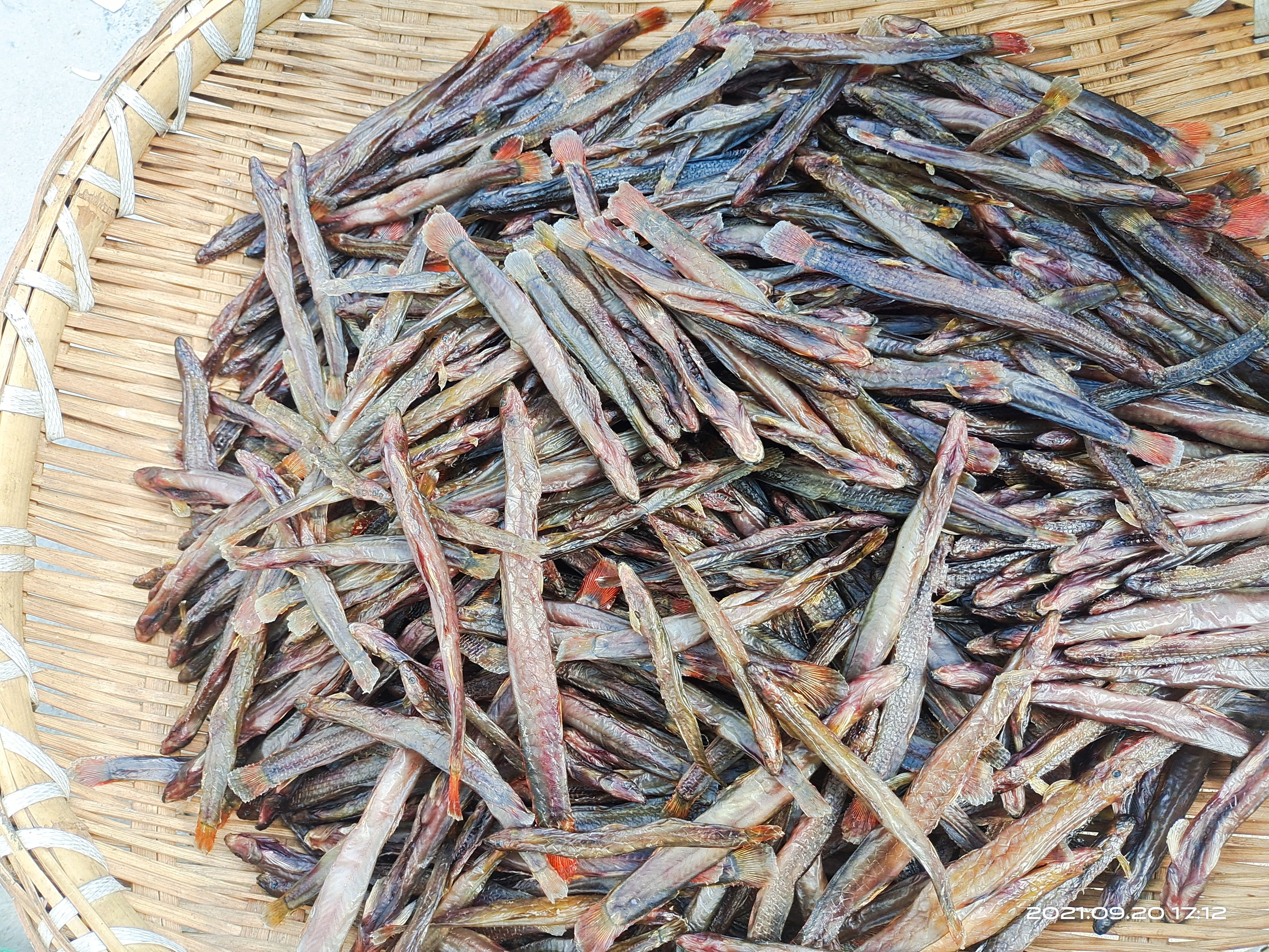 钢鳅干  红尾副鳅肉质细嫩鲜美，高蛋白含钙磷铁B1B2等维生