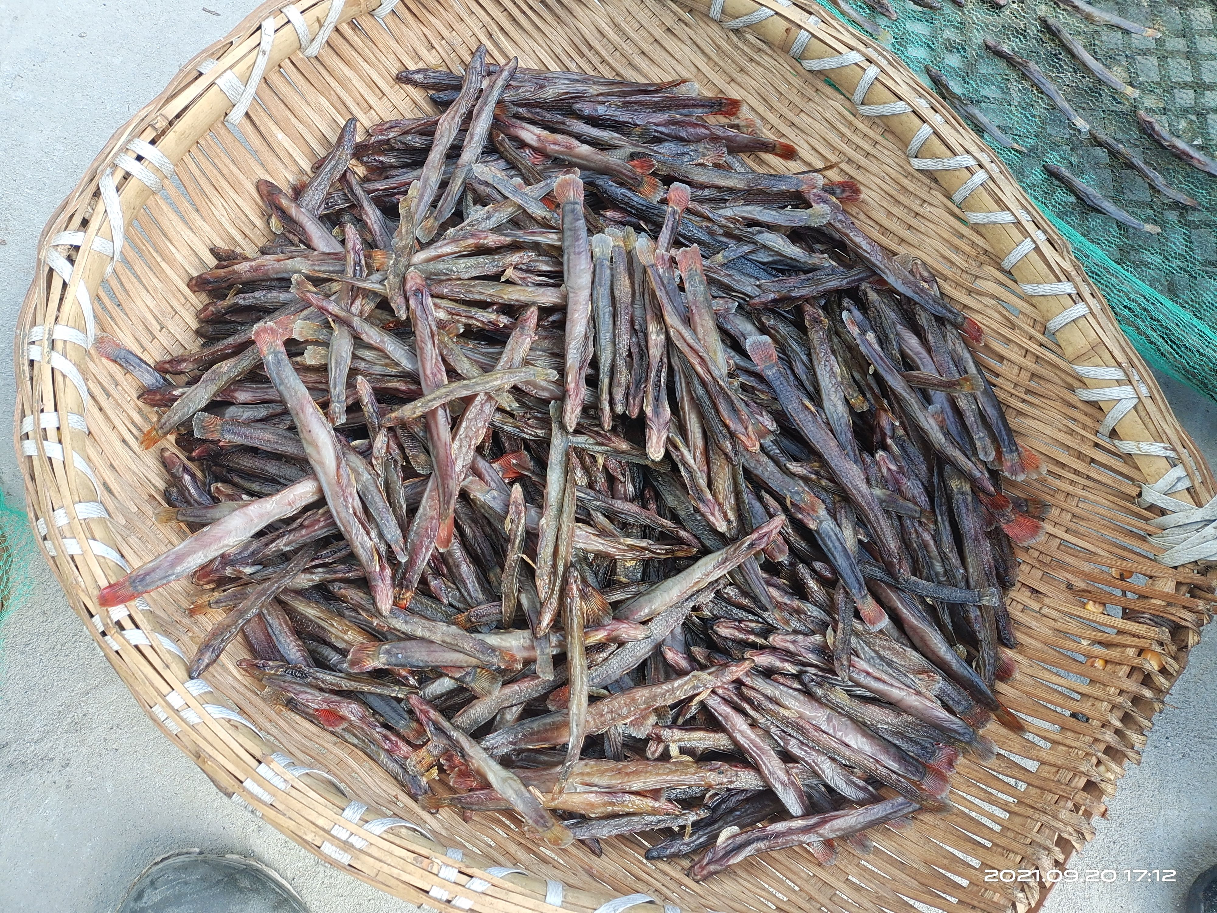 钢鳅干  红尾副鳅肉质细嫩鲜美，高蛋白含钙磷铁B1B2等维生