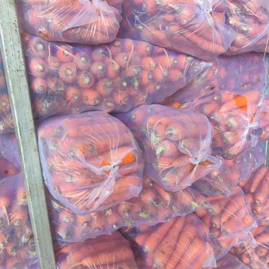 莱西市三红胡萝卜  精品北京包