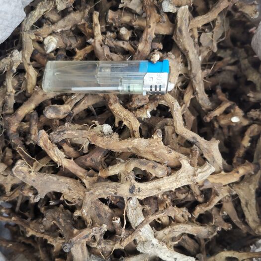 长春穿山龙，干度好，价格优惠，纯货