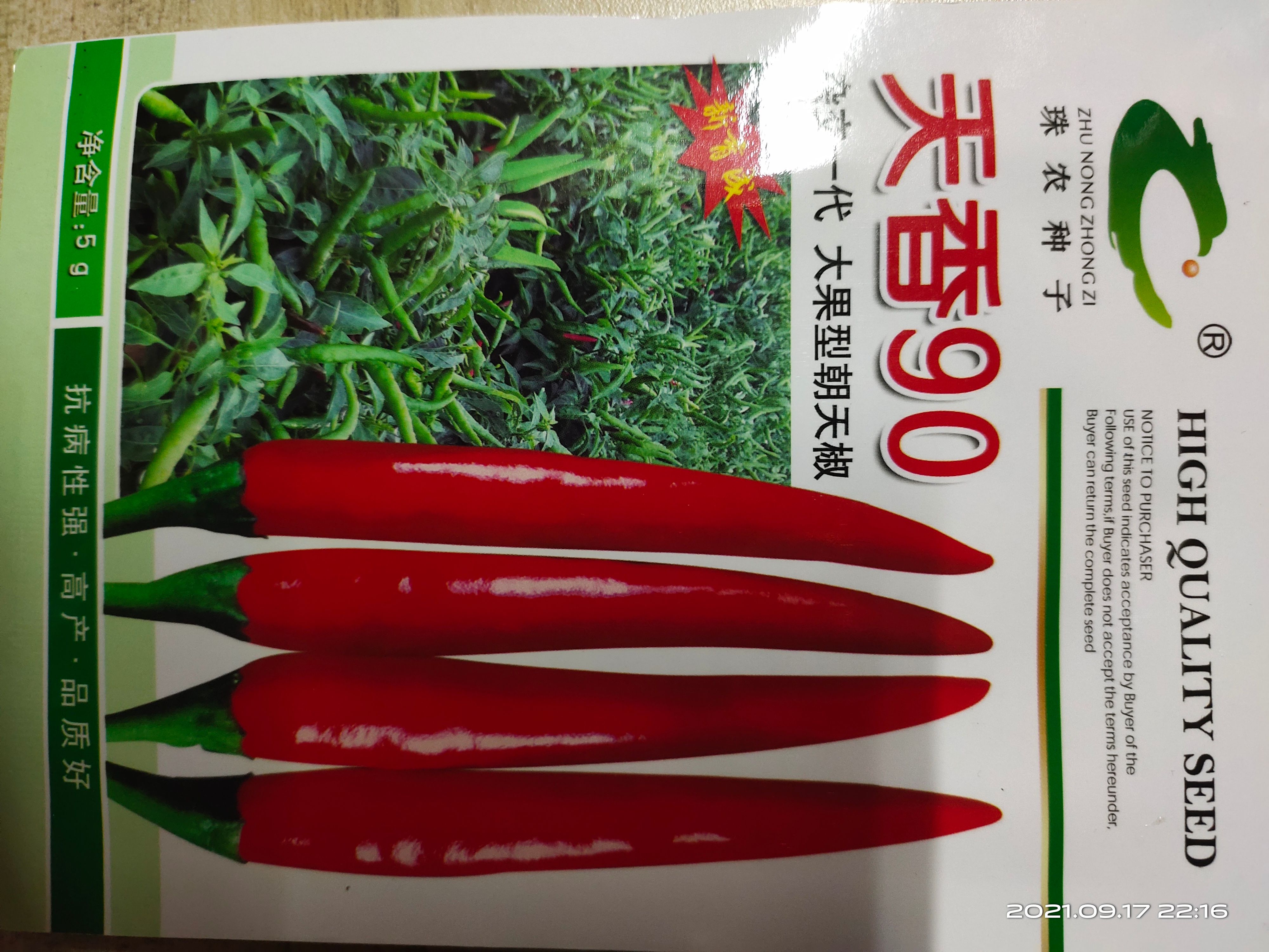 朝天椒苗 单生 基地直供 品质保证 量大从优 包邮