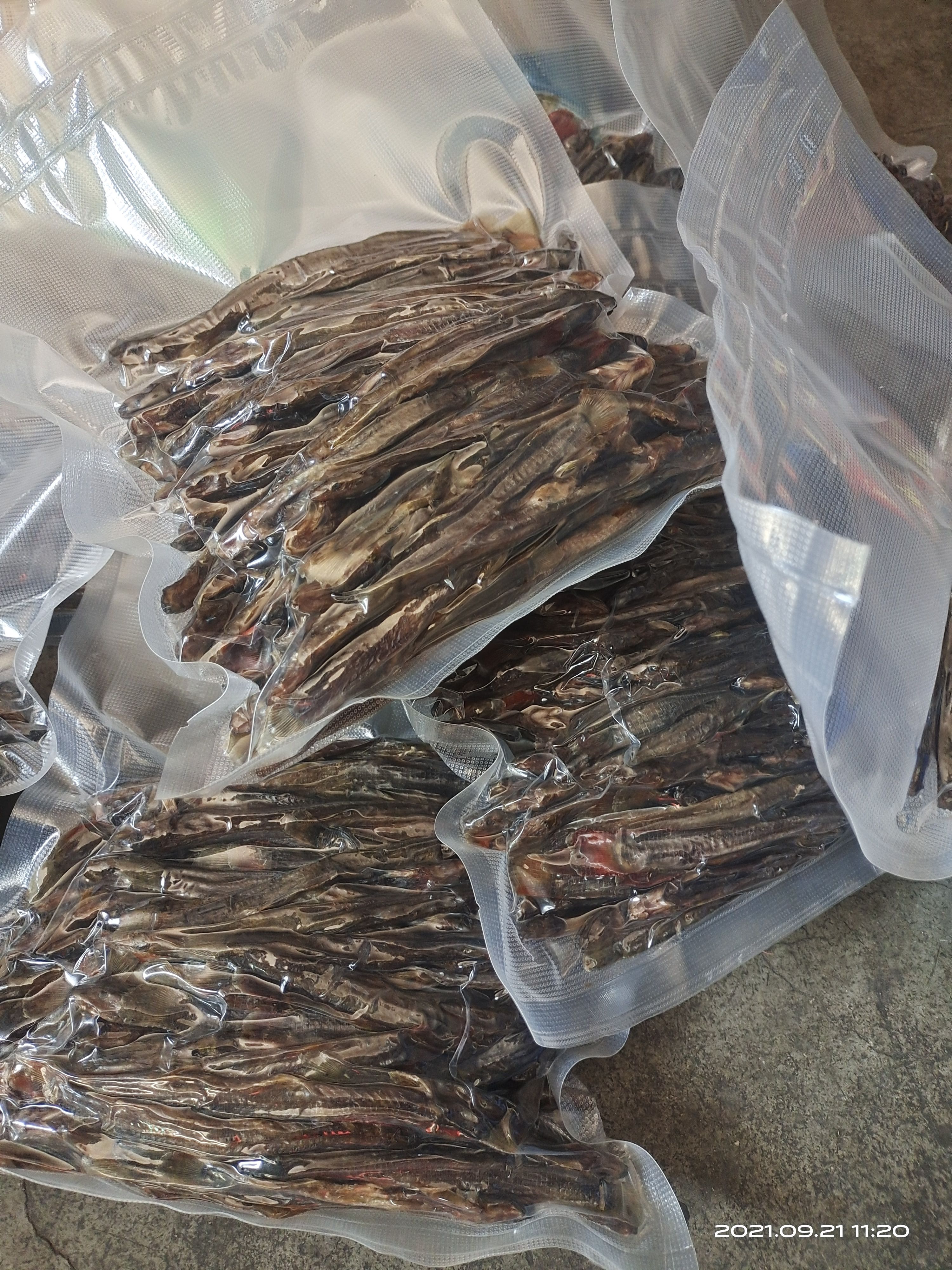 钢鳅干  红尾副鳅肉质细嫩鲜美，高蛋白含钙磷铁B1B2等维生