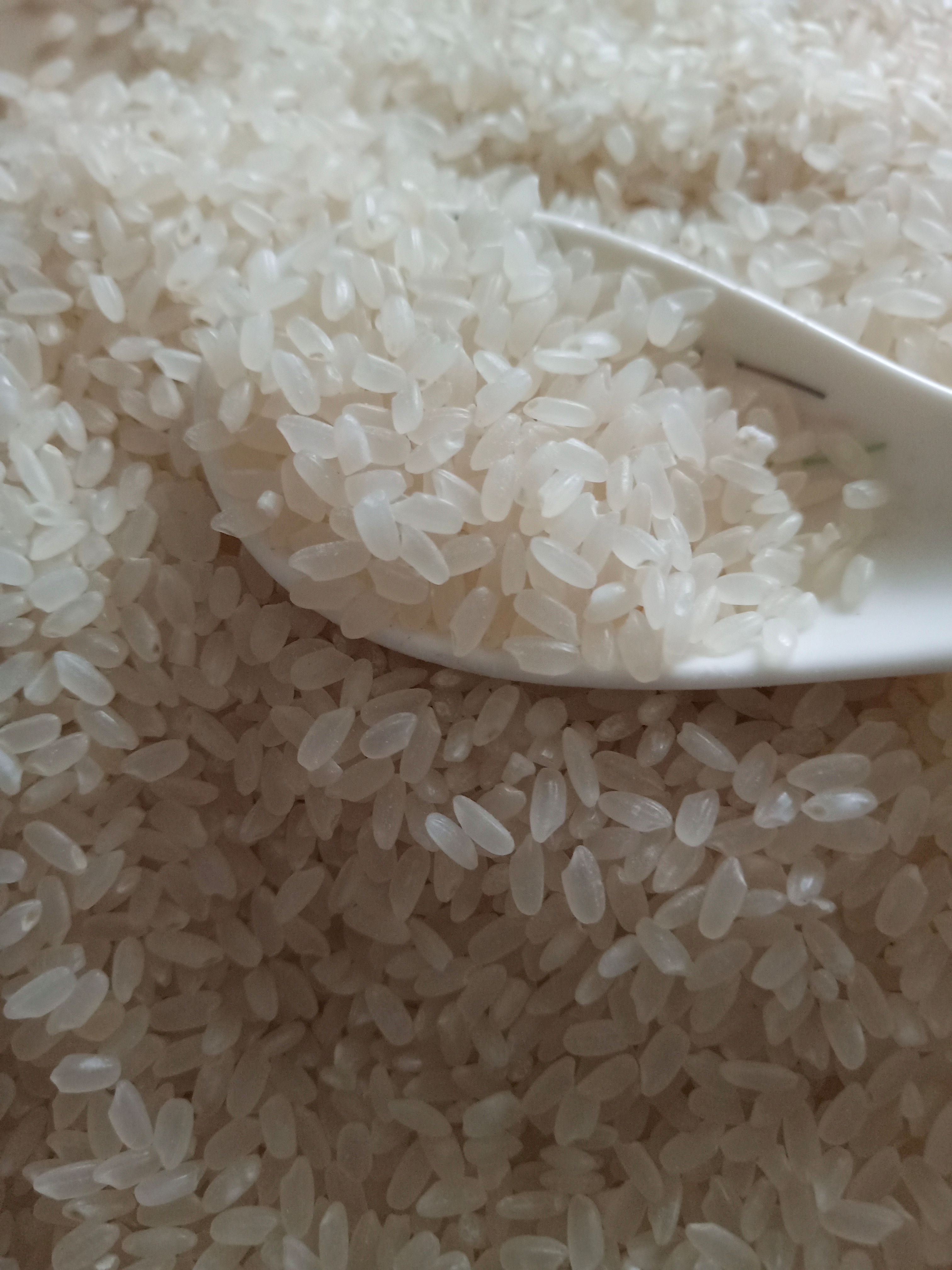 长粒香  大米 黑龙江大米