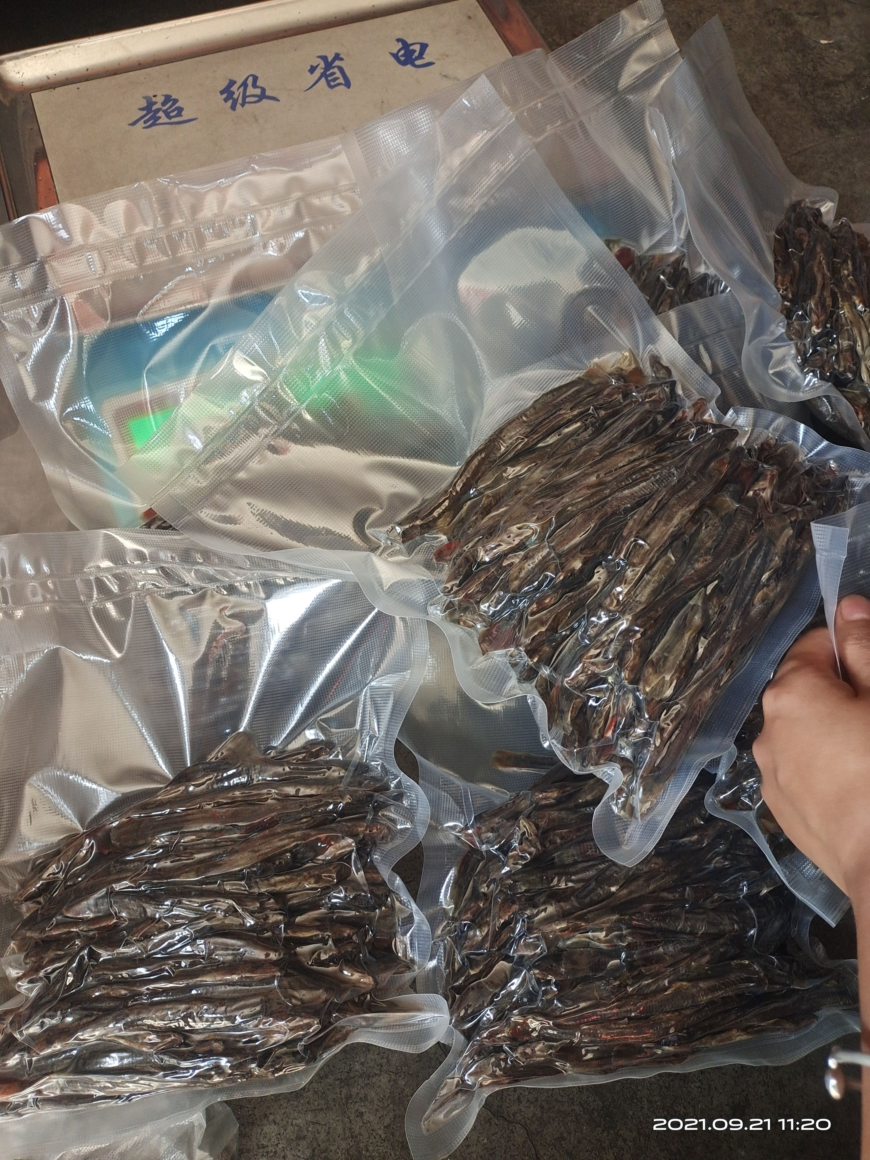 钢鳅干  红尾副鳅肉质细嫩鲜美，高蛋白含钙磷铁B1B2等维生