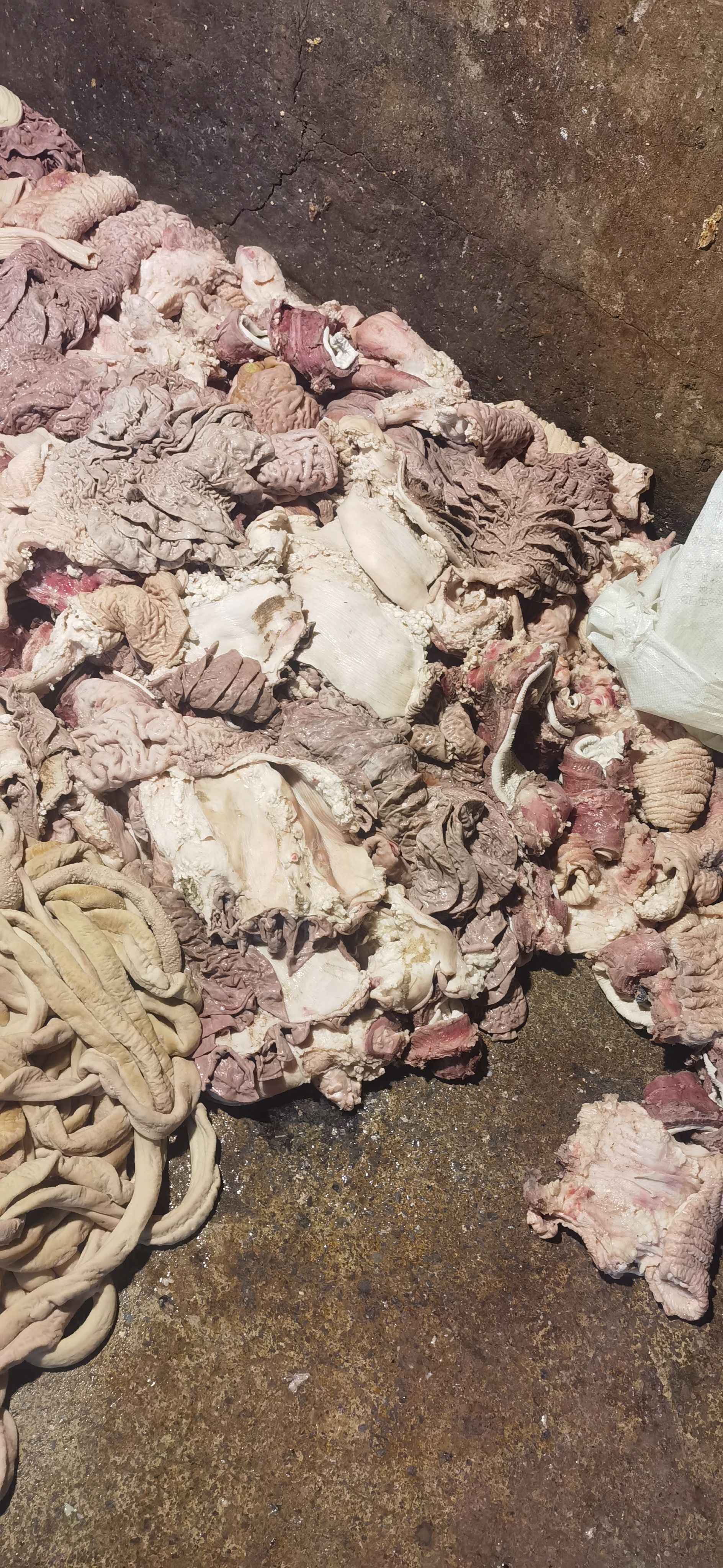 五合一精品牛杂（高质量）