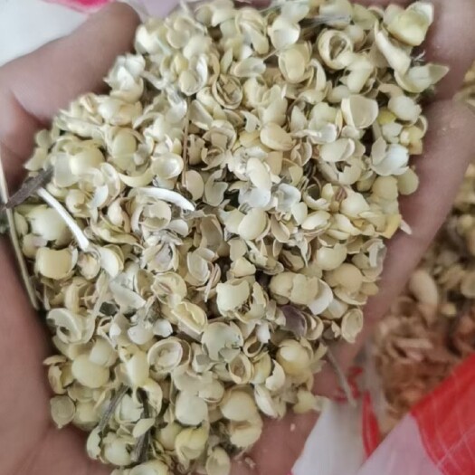 豆粕肥料 本厂常年出售，，豆粕小料，大豆胚芽粉，等豆粕全类饲料，肥料！