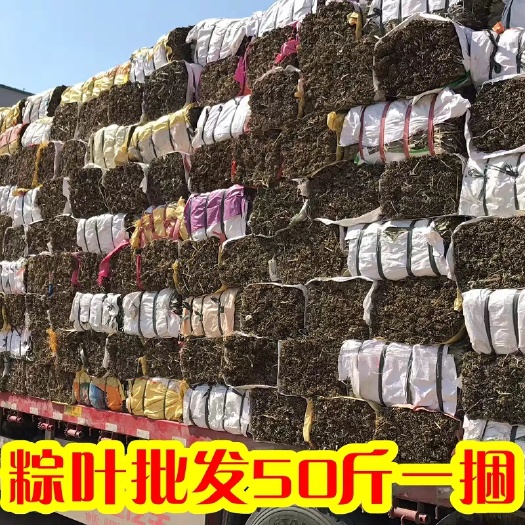 干粽叶 种叶竹粽子叶苇叶新鲜大棕叶包粽子农家整捆50斤
