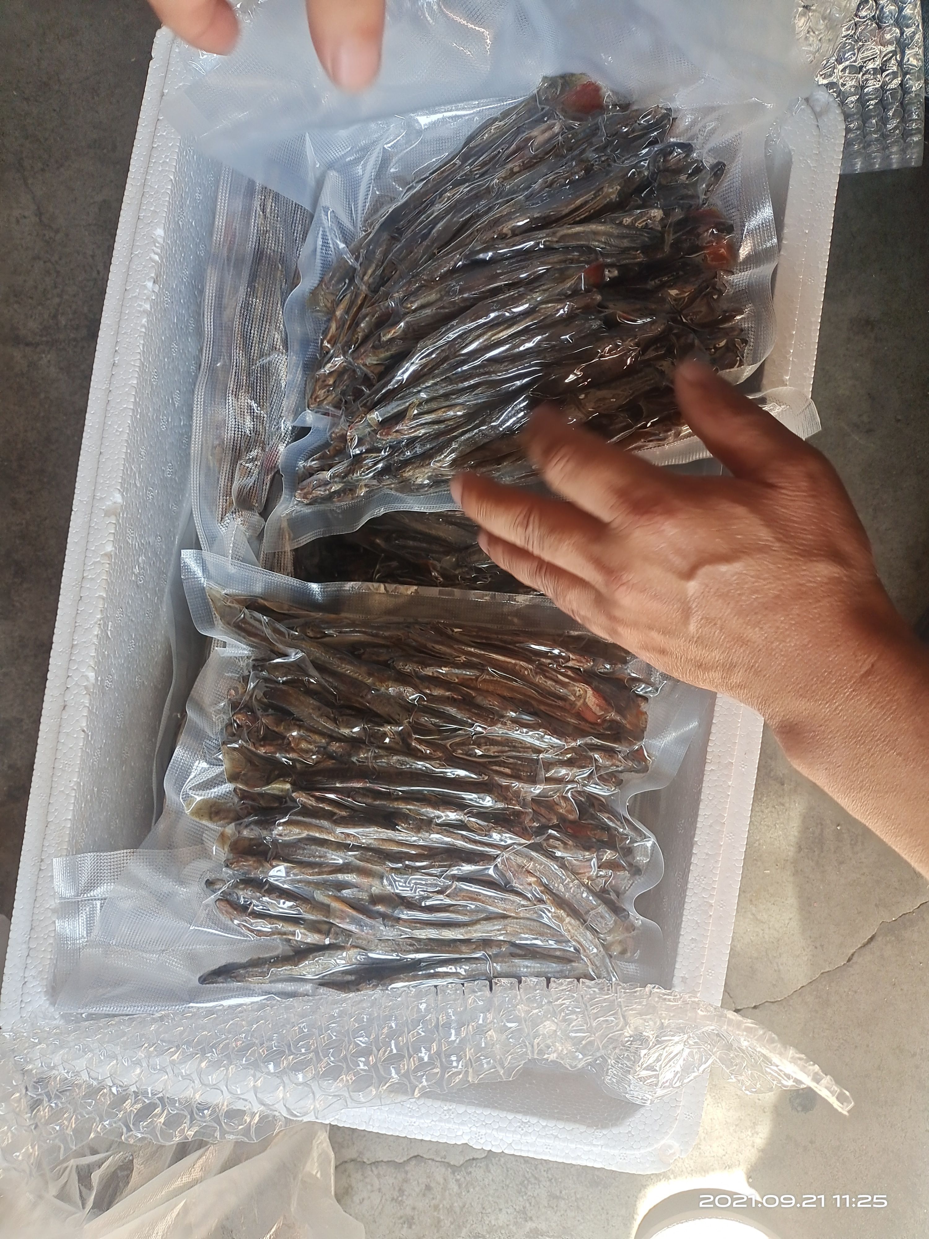 钢鳅干  红尾副鳅肉质细嫩鲜美，高蛋白含钙磷铁B1B2等维生