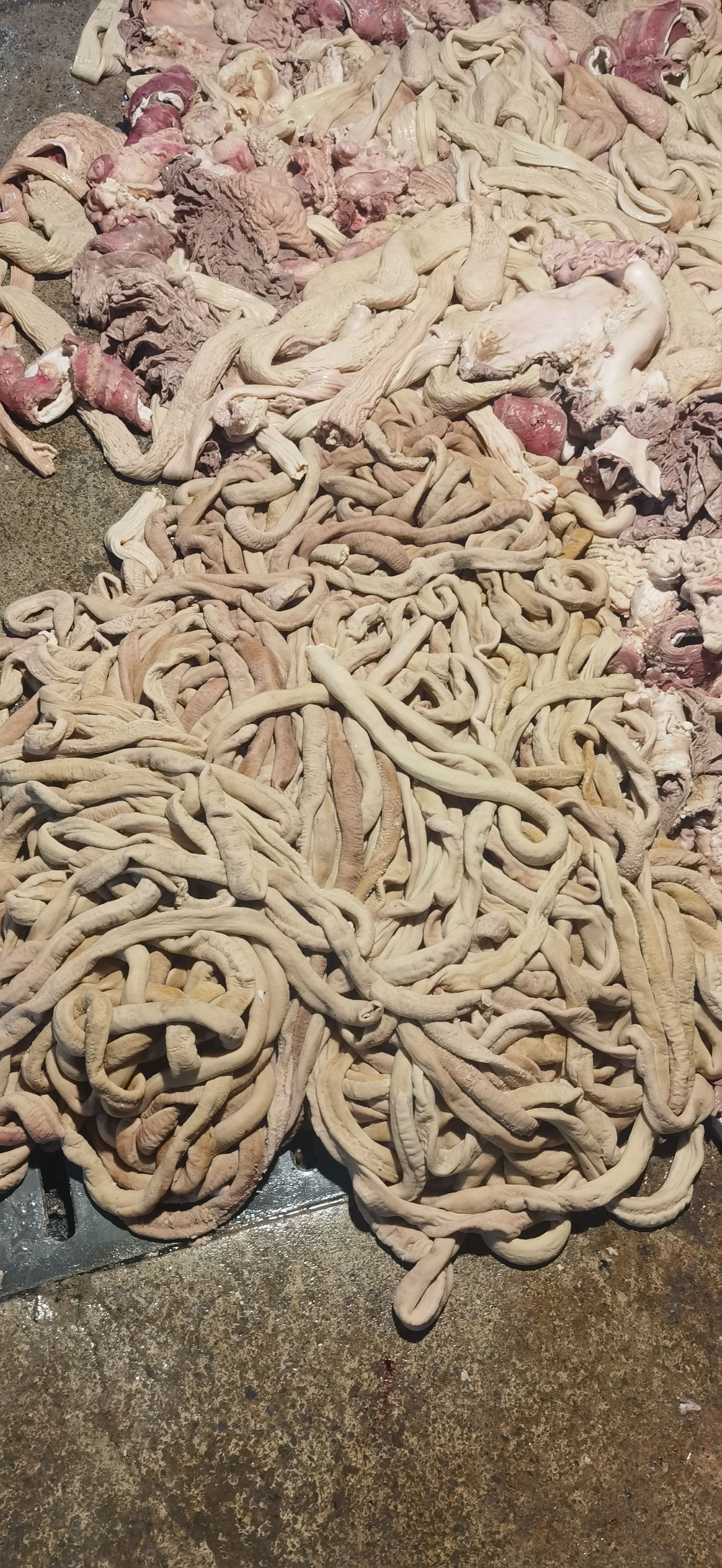 五合一精品牛杂（高质量）