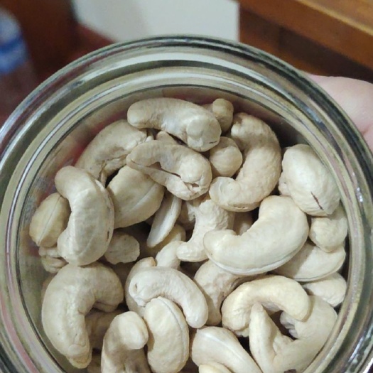 广州缅甸种植园，工厂直销一手原味腰果。