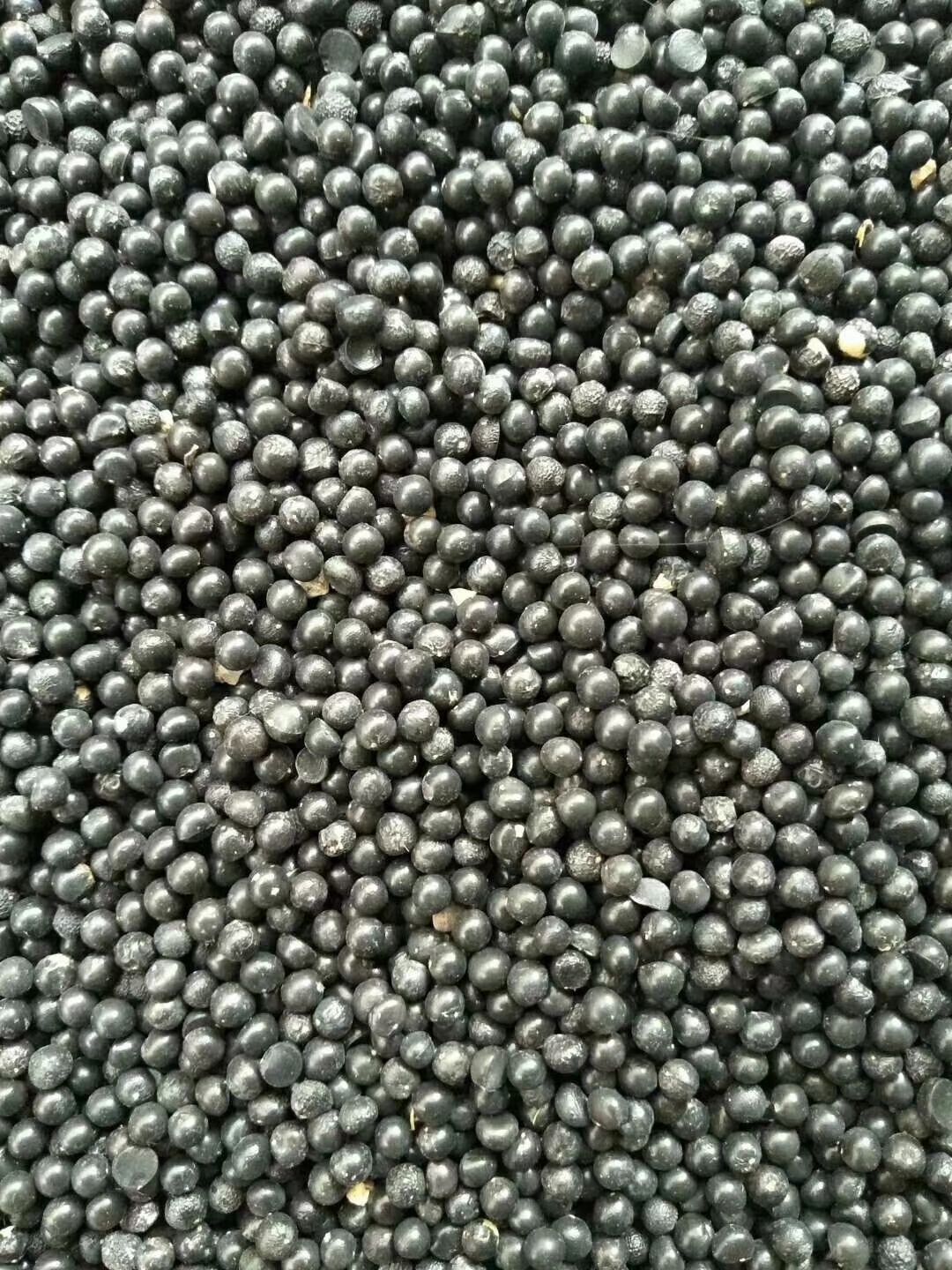 2024优质全新云南大天冬种子 天门冬种子天冬种子良种天冬籽