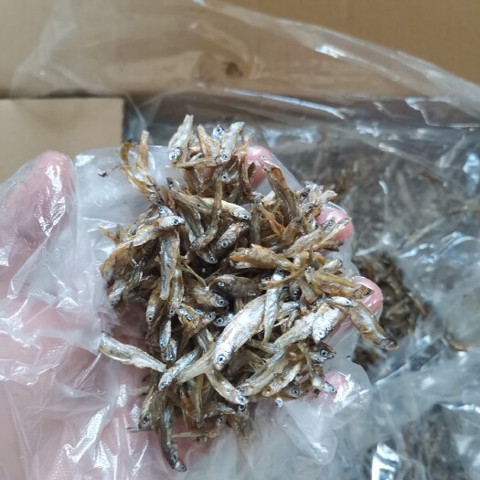 沭阳县河鱼小鱼干小鱼干 精品水库小鱼干  小鱼仔  自然风干