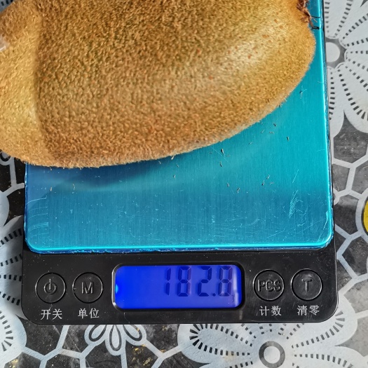 猕猴桃 金福猕猴桃 个大味甜 刚刚上市