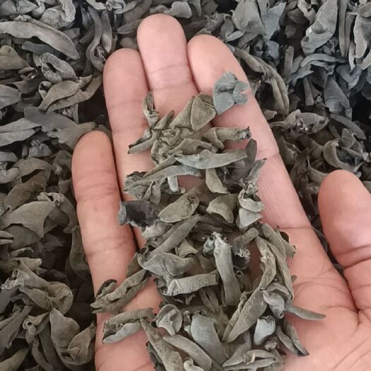 蛟河市黑木耳  东北精品秋耳