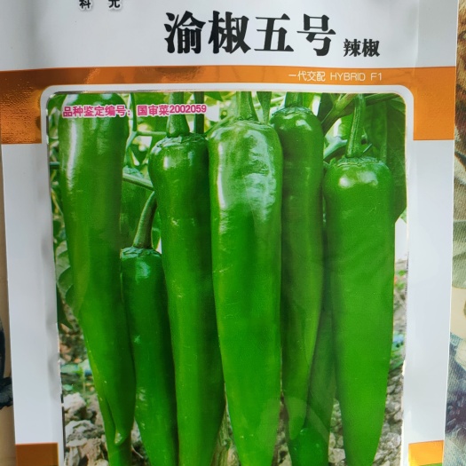 绵阳渝椒五号渝椒15号辣椒种子羊角椒种子尖椒种子