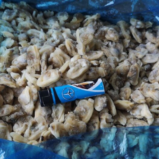 重庆市 大号花甲肉（蛤蜊肉）厂家一手货源