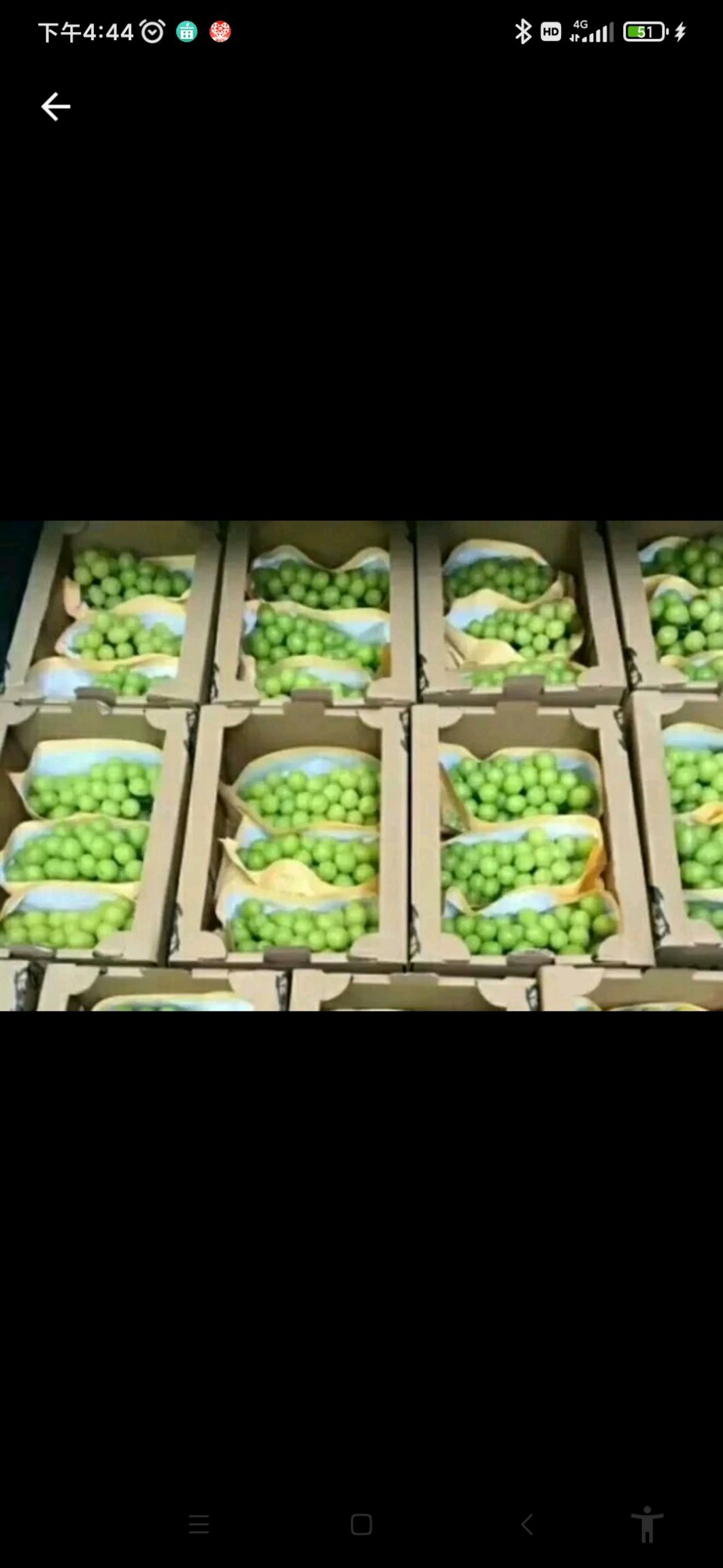 阳光玫瑰葡萄大量供应需要的联系阳光玫瑰葡萄大量供应需要的联系
