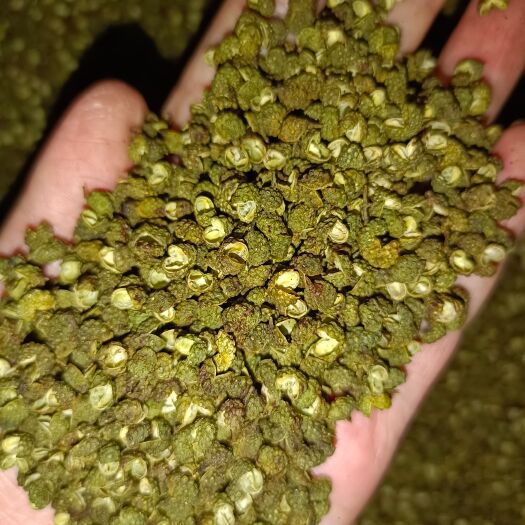 重庆市金阳青花椒