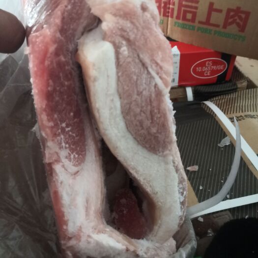 猪肉 前五花，后五花，前上肉，后上肉