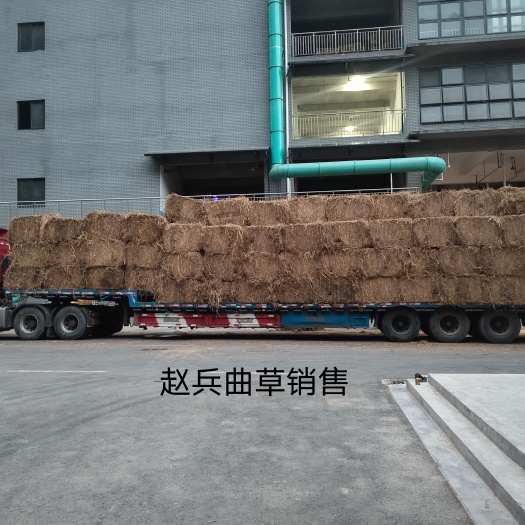 古蔺县稻草 曲草
