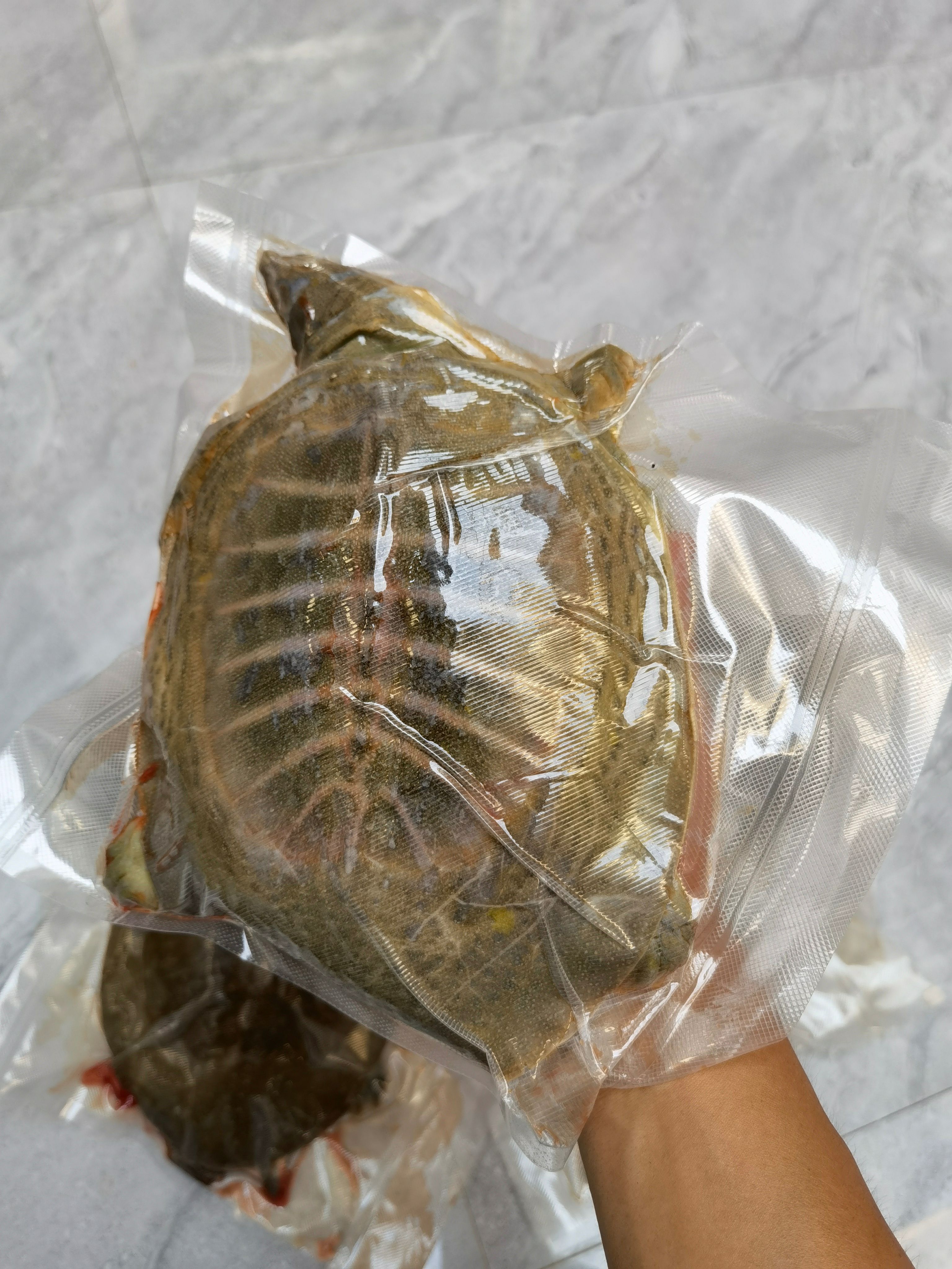伤残甲鱼  真空包装，鲜活现杀，冷冻后发货，外塘两年