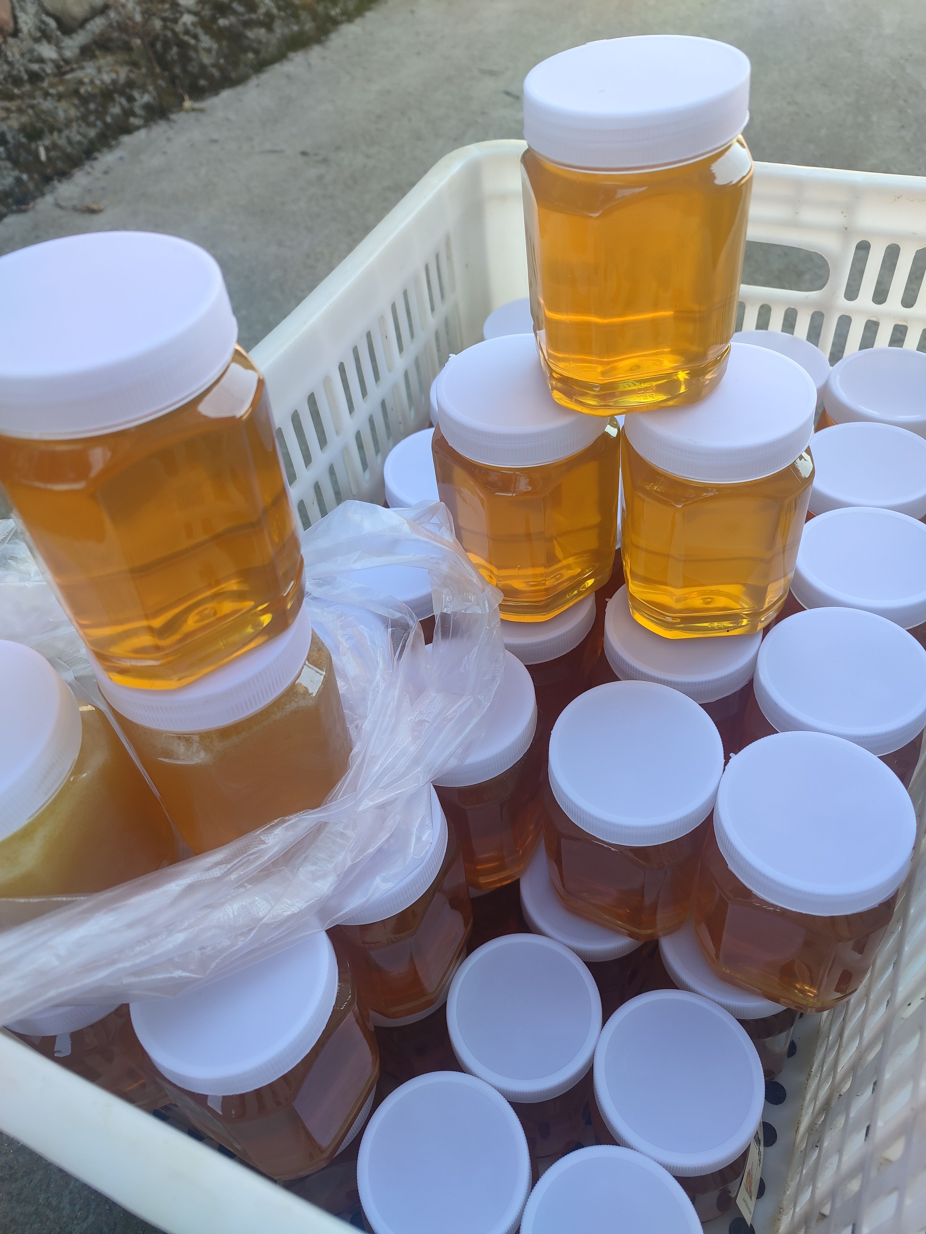  野土蜂蜜，山上放养