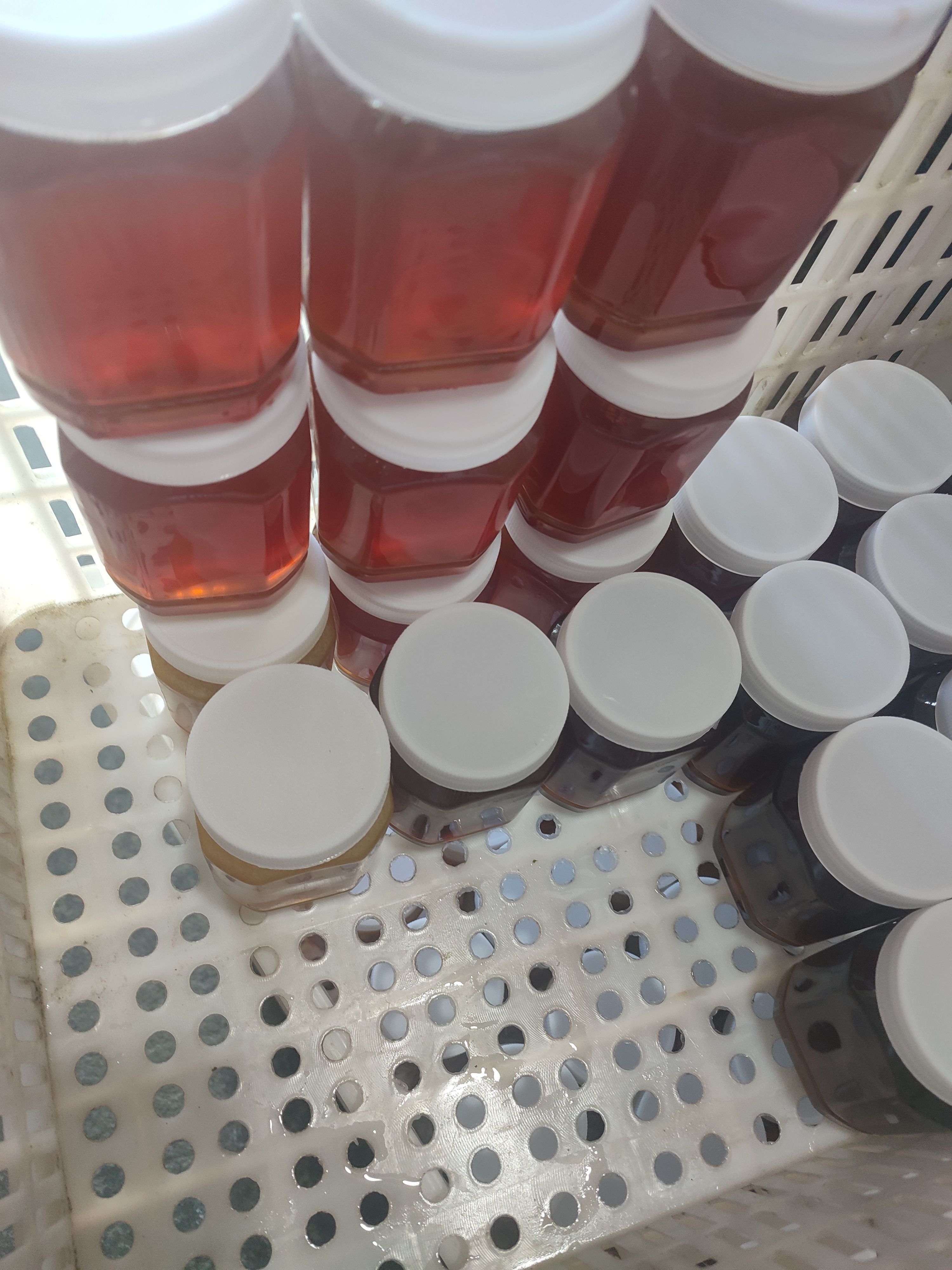  野土蜂蜜，山上放养