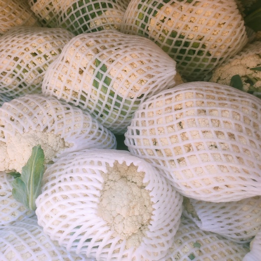 乐亭县白花菜花  菜花