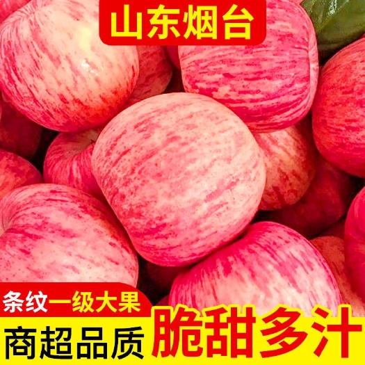 栖霞市全年供应山东烟台栖霞红富士代发3/5斤应季新鲜孕妇水果