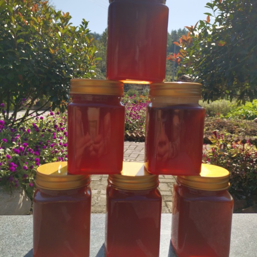 施秉县 贵州杉木河深山纯野蜂蜜