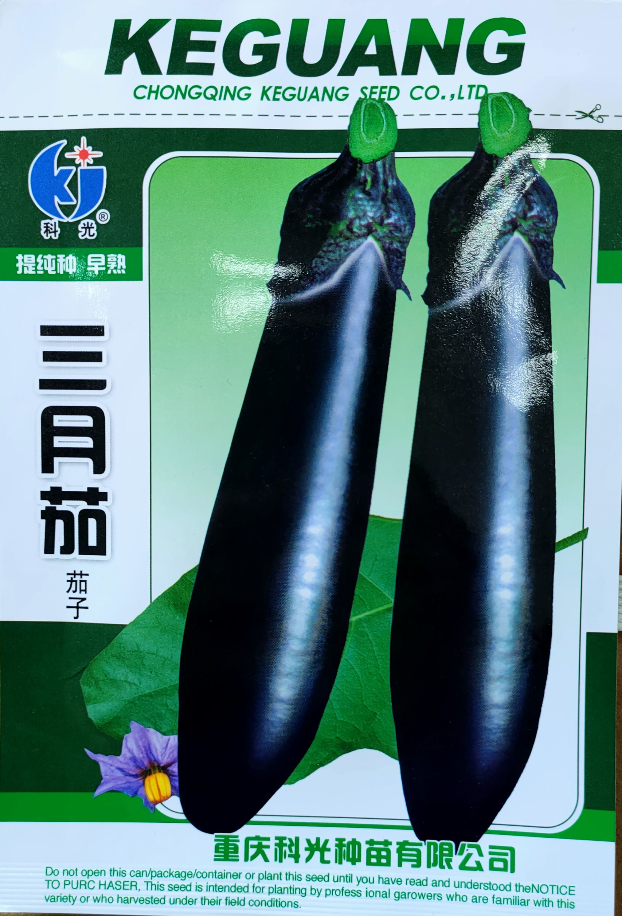 茄子种子  三月早茄种子 紫黑皮长条茄子 长线茄子 油亮早熟