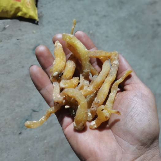 溆浦县湘玉竹 玉竹