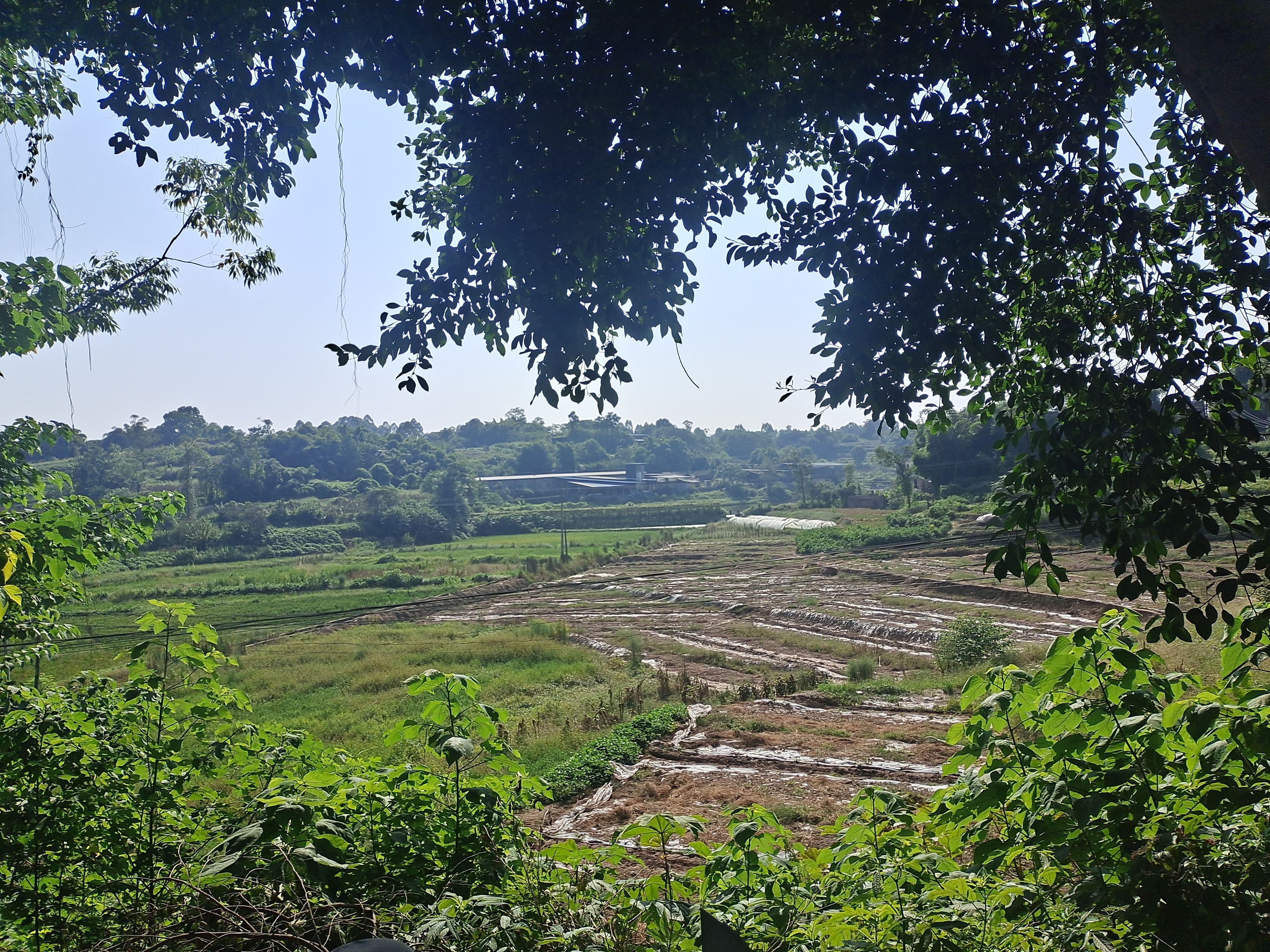 水浇地 30亩蔬菜基地出租，可以建大棚，交通方便，离城区近，600元