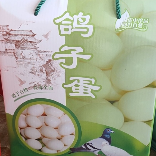 辛集市 新鲜鸽子蛋