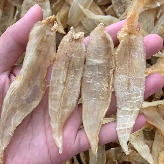 南澳县金龙   鱼胶鳔