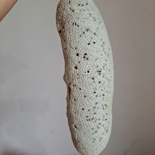 崇左百花蜜  小挂蜜