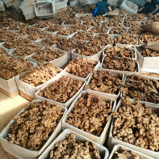 罗平县云南罗平小黄姜产地直销。量大从优