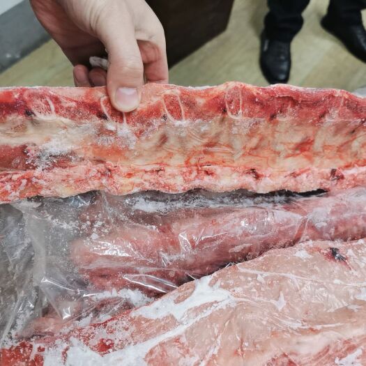 临沂猪脊骨 猪骨头20斤 猪龙骨 新鲜冷冻多肉猪骨头 肉多