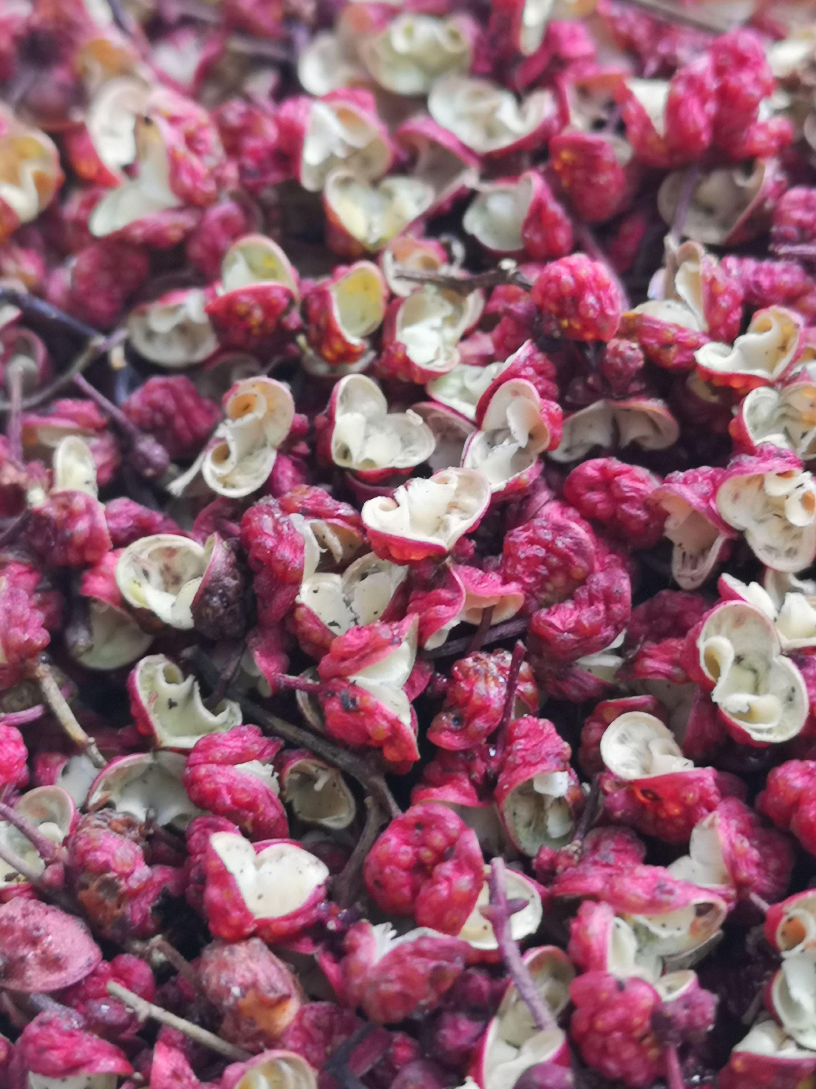 大红袍花椒  陇南武都花椒