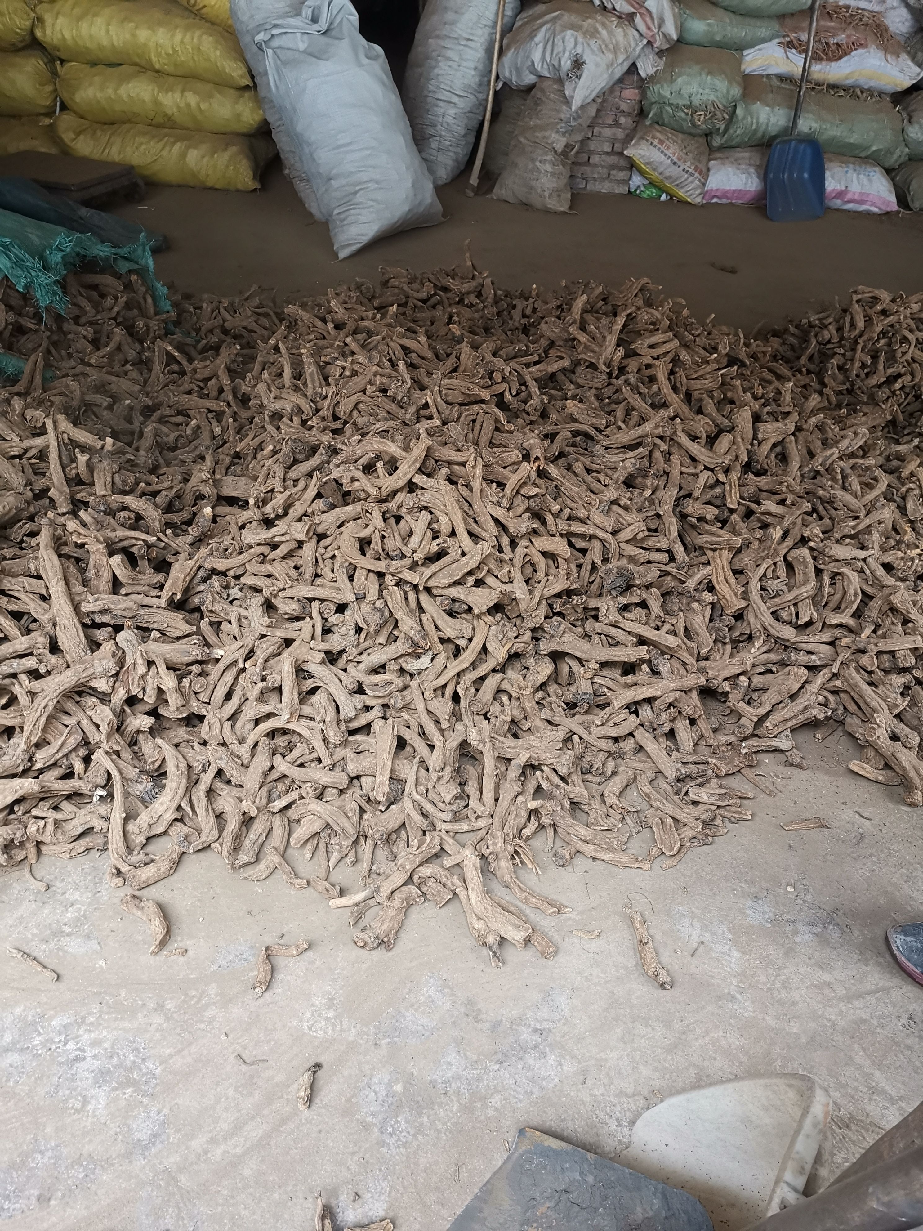 木香，云木香个子 木香片